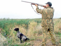 Подписан закон об охоте
